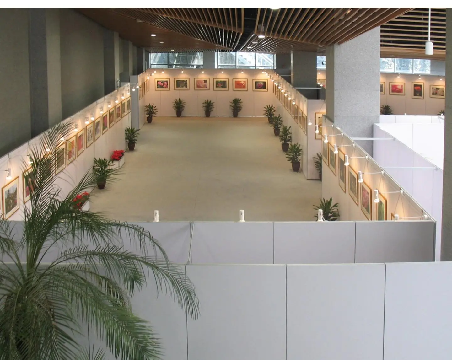 LT-WB261-10A Hook with double side for Messe Booth Exhibition partition walls
