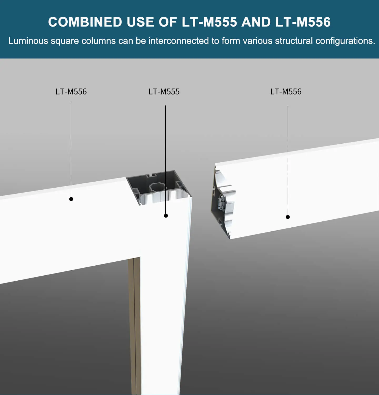 LT-M556